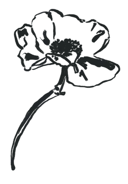 Illustration — a single flower